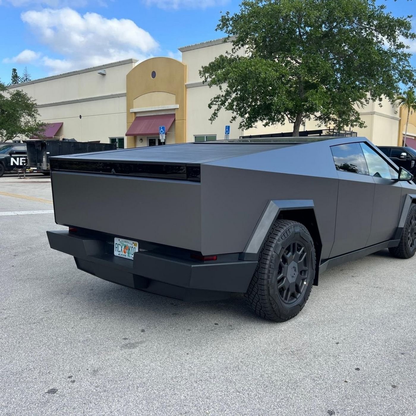 Exterior detailing and paint restoration